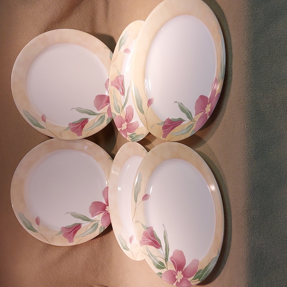 Corelle Retired, Pacific Bloom, Dinner Plates